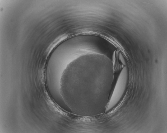 X0000087690806200705181753