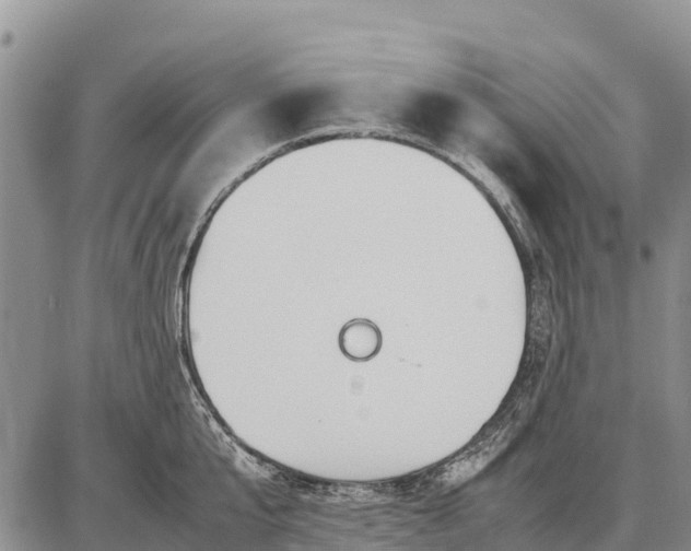 X0000087690807200705181753