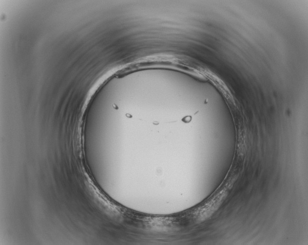 X0000087690808200705181753