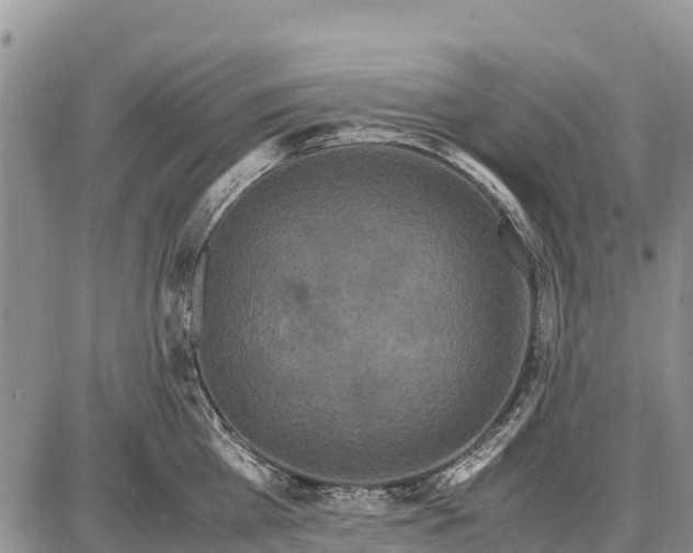 X0000087690809200705181753