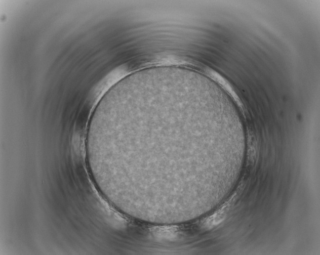 X0000087690810200705181753