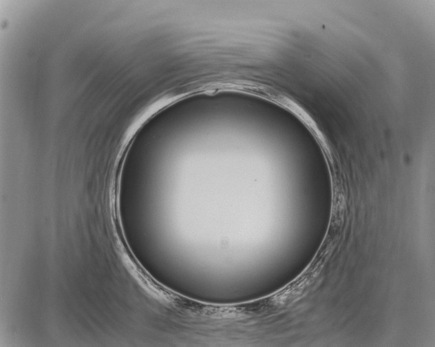 X0000087690811200705181753