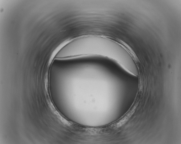 X0000087690812200705181753