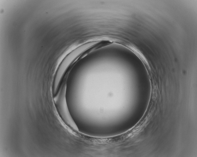 X0000087690813200705181753