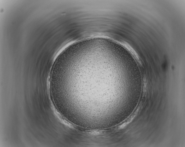 X0000087690814200705181753