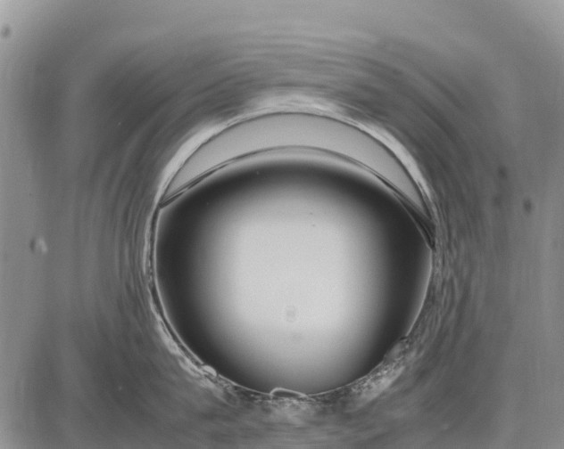 X0000087690815200705181753