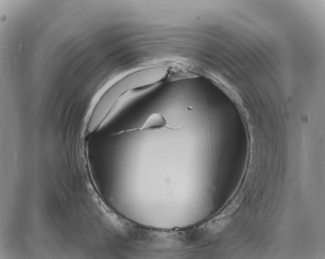 X0000087690816200705181753