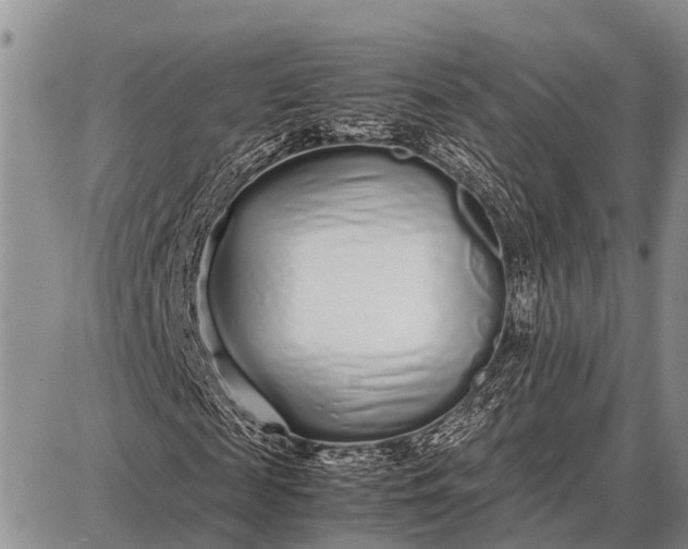 X0000087690817200705181752