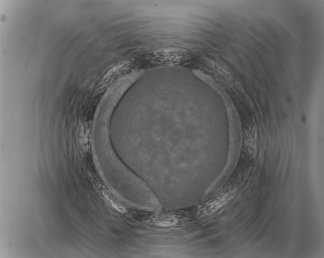 X0000087690818200705181752