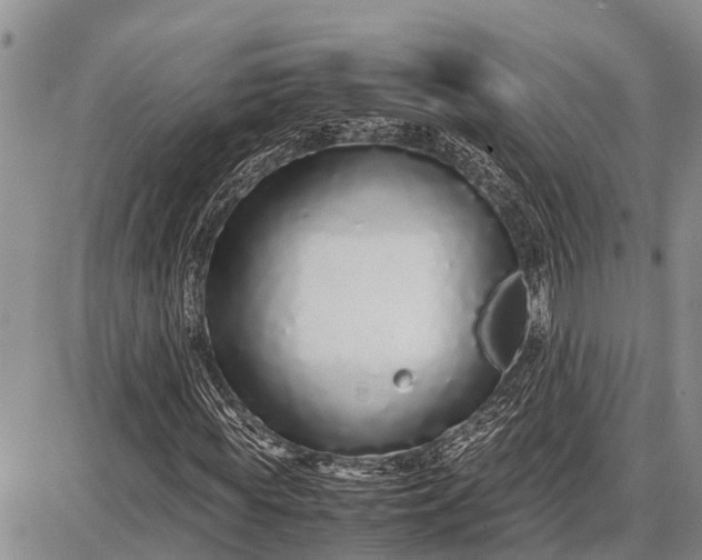 X0000087690819200705181752