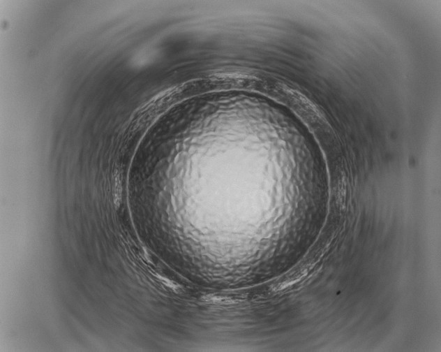 X0000087690821200705181752