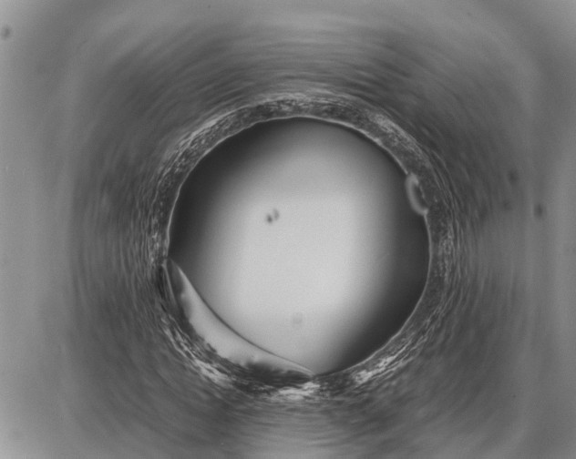 X0000087690822200705181752