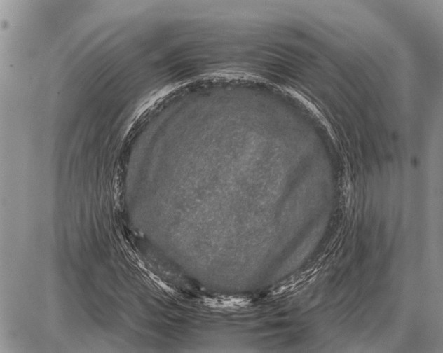 X0000087690823200705181752