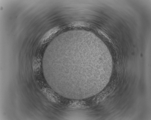 X0000087690824200705181752