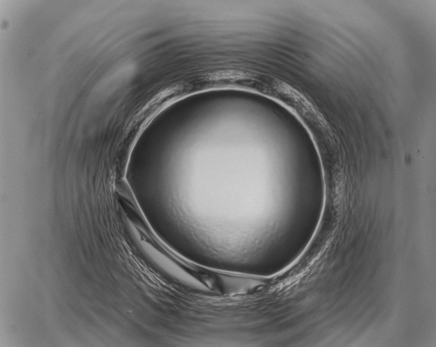 X0000087690825200705181752