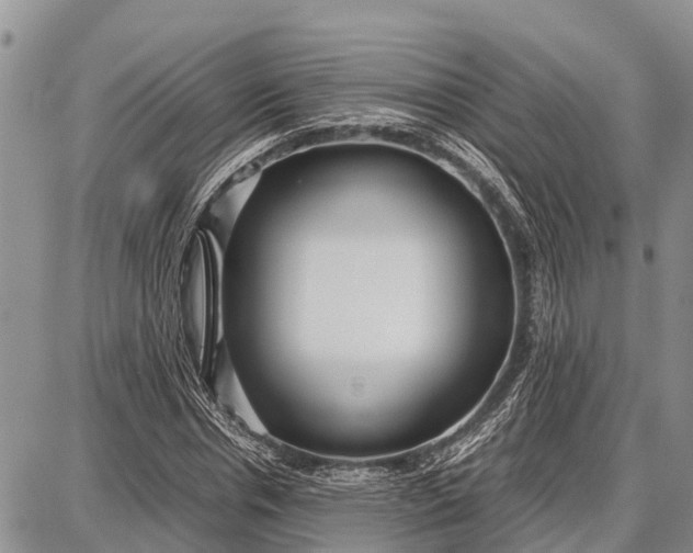 X0000087690826200705181752