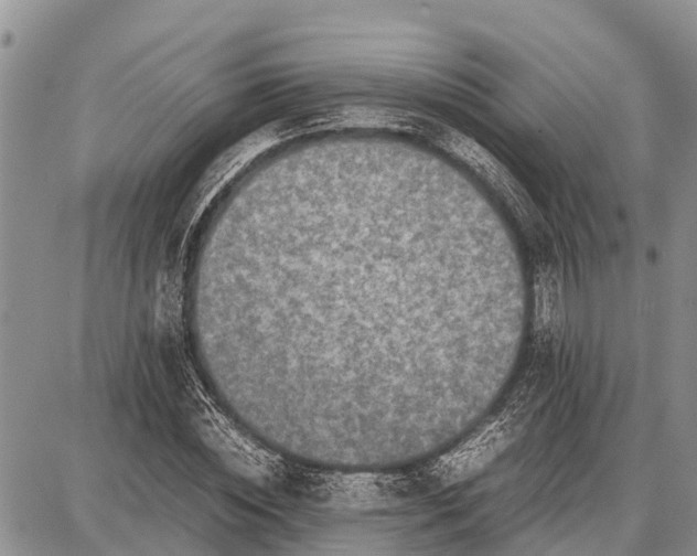 X0000087690828200705181752