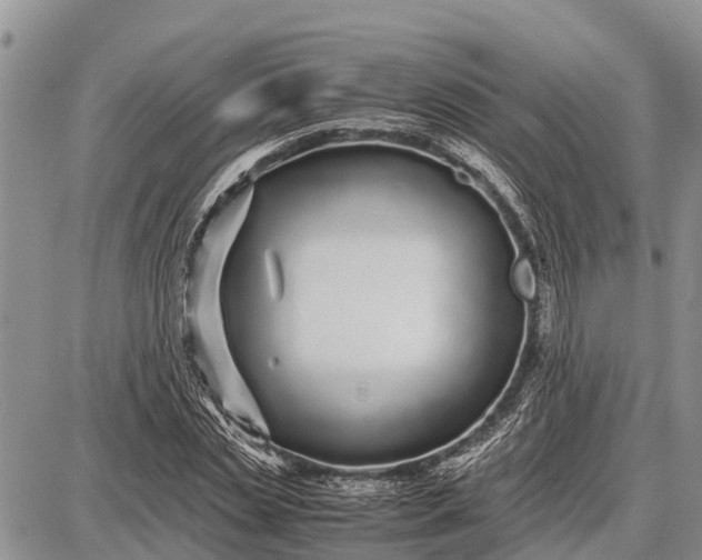 X0000087690829200705181752