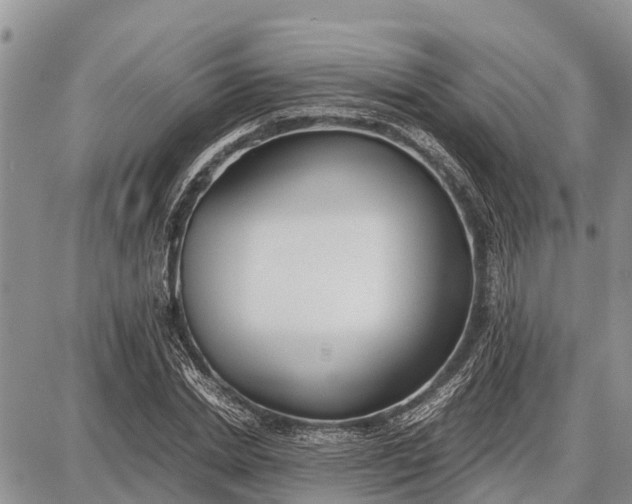 X0000087690830200705181752