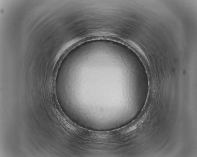 X0000087690831200705181752