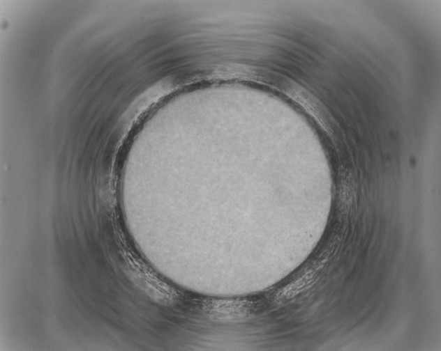 X0000087690832200705181752