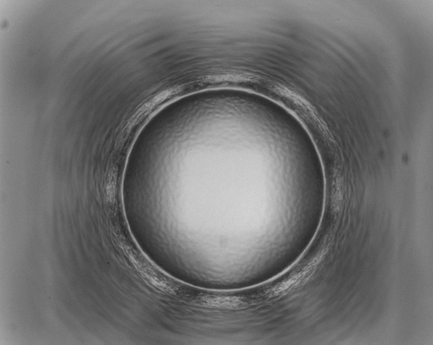 X0000087690833200705181752