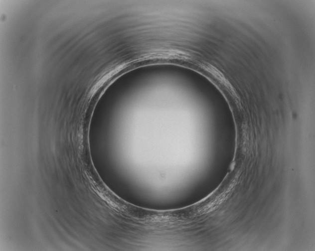 X0000087690834200705181752