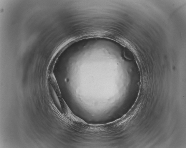 X0000087690835200705181752