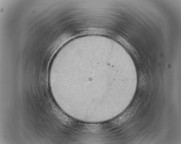 X0000087690836200705181752