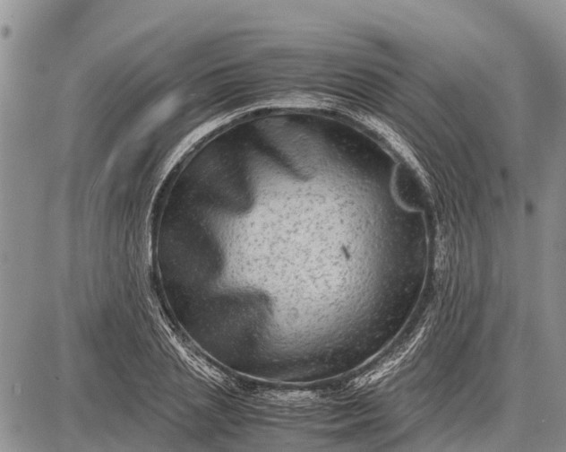 X0000087690837200705181752