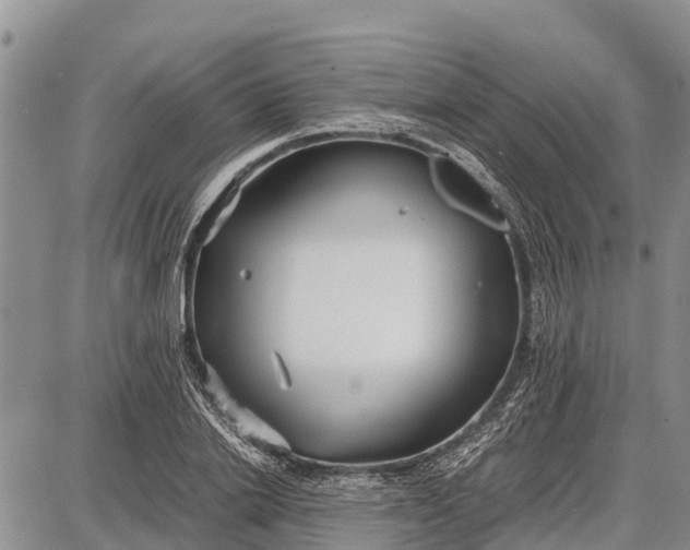 X0000087690838200705181752