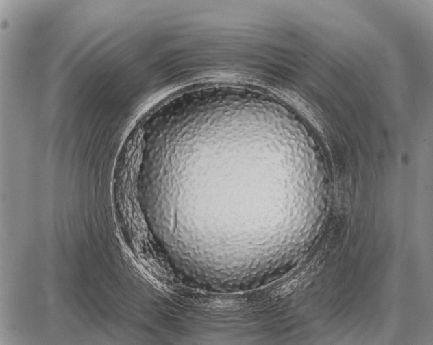 X0000087690839200705181752