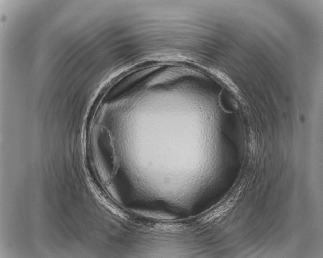 X0000087690840200705181752