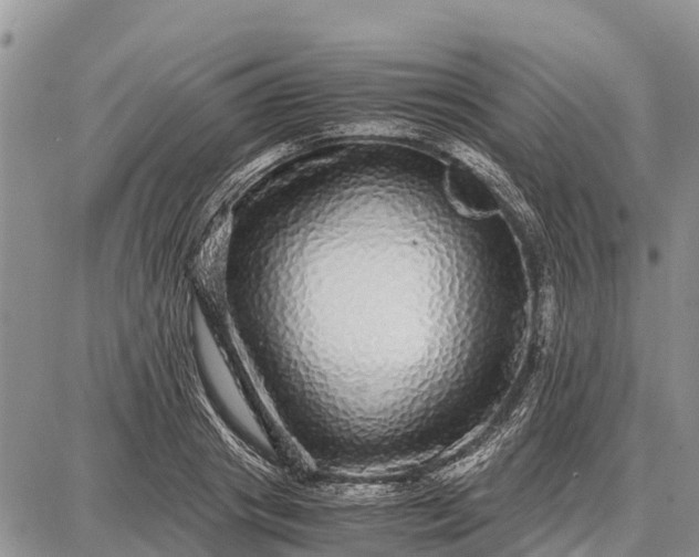 X0000087690841200705181753