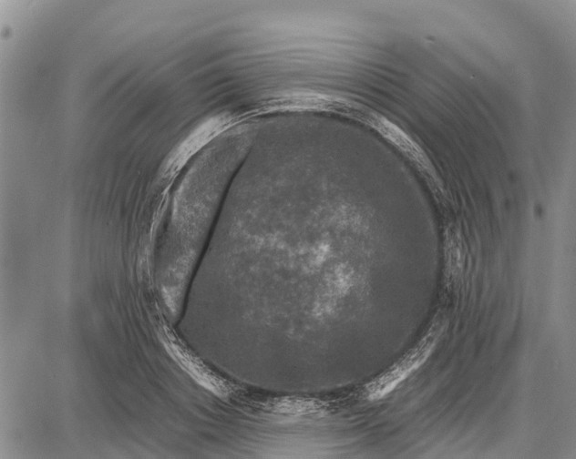 X0000087690842200705181753