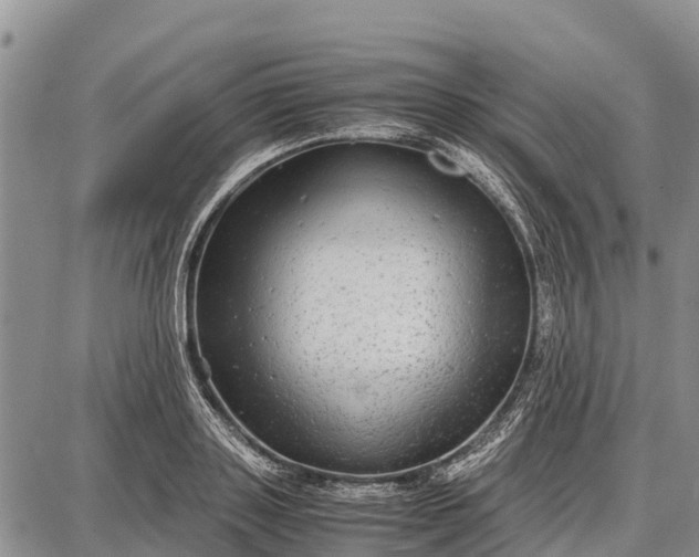 X0000087690843200705181753