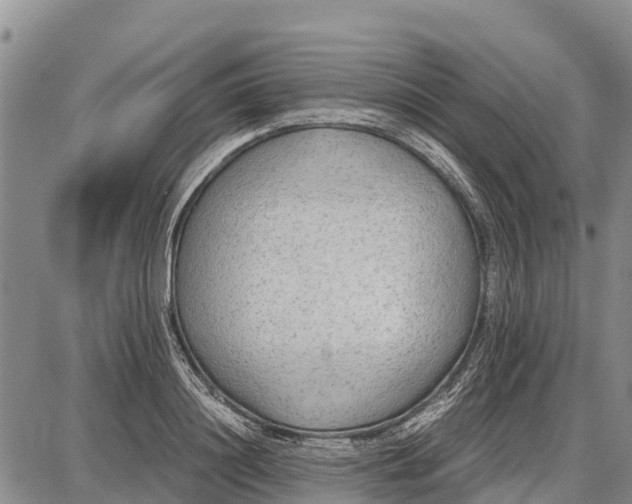 X0000087690844200705181753