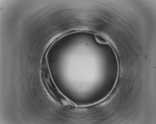 X0000087690845200705181753