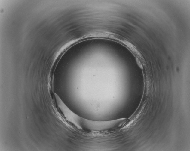 X0000087690846200705181753