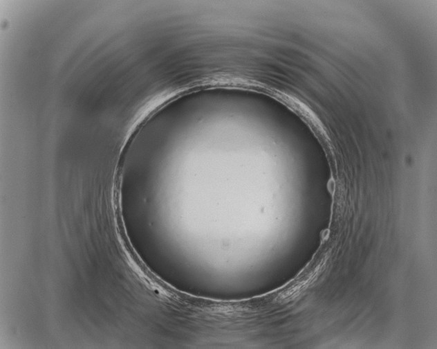 X0000087690847200705181753