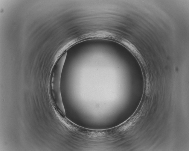 X0000087690850200705181753