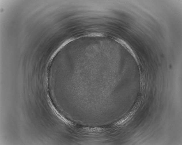 X0000087690851200705181753