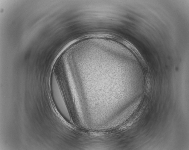 X0000087690852200705181753