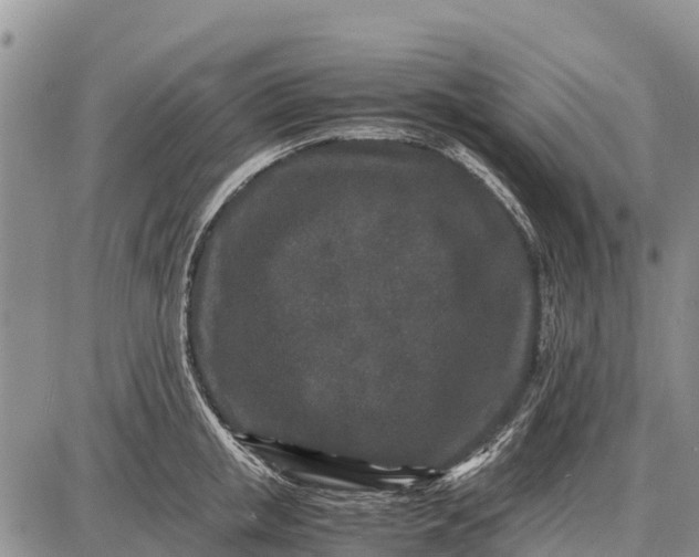 X0000087690853200705181753