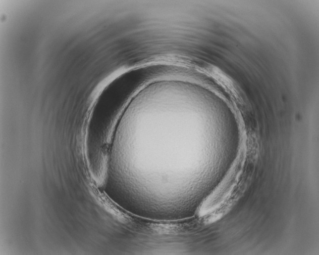 X0000087690854200705181753