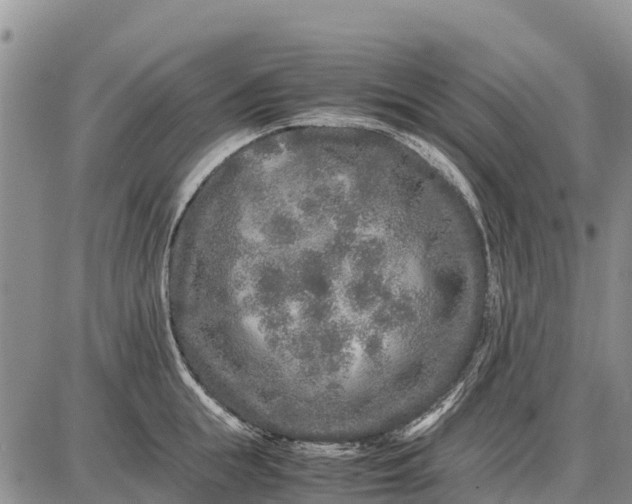 X0000087690855200705181753