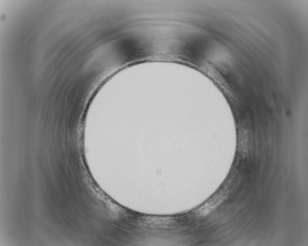 X0000087690856200705181753