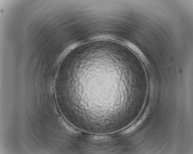 X0000087690857200705181753