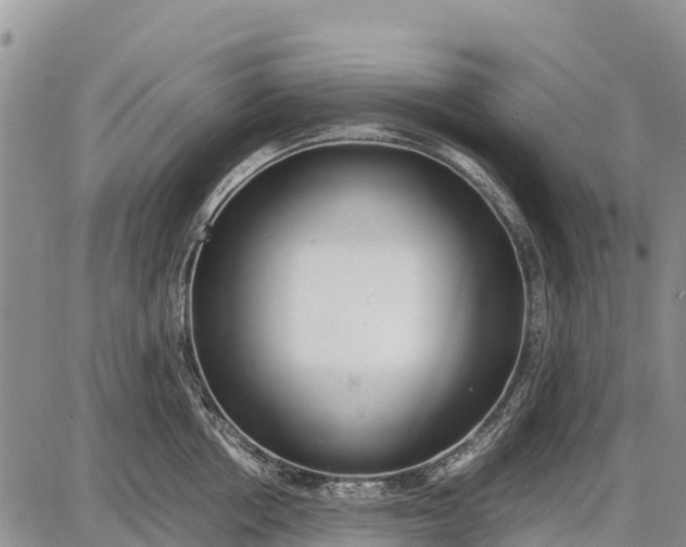 X0000087690858200705181753