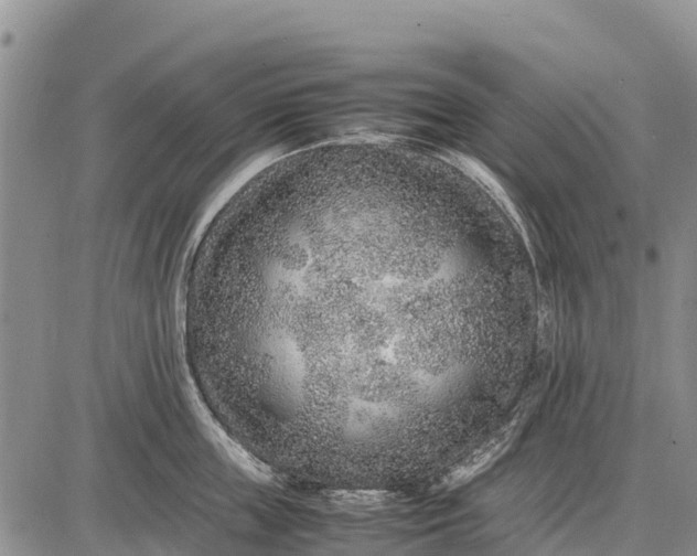 X0000087690859200705181753